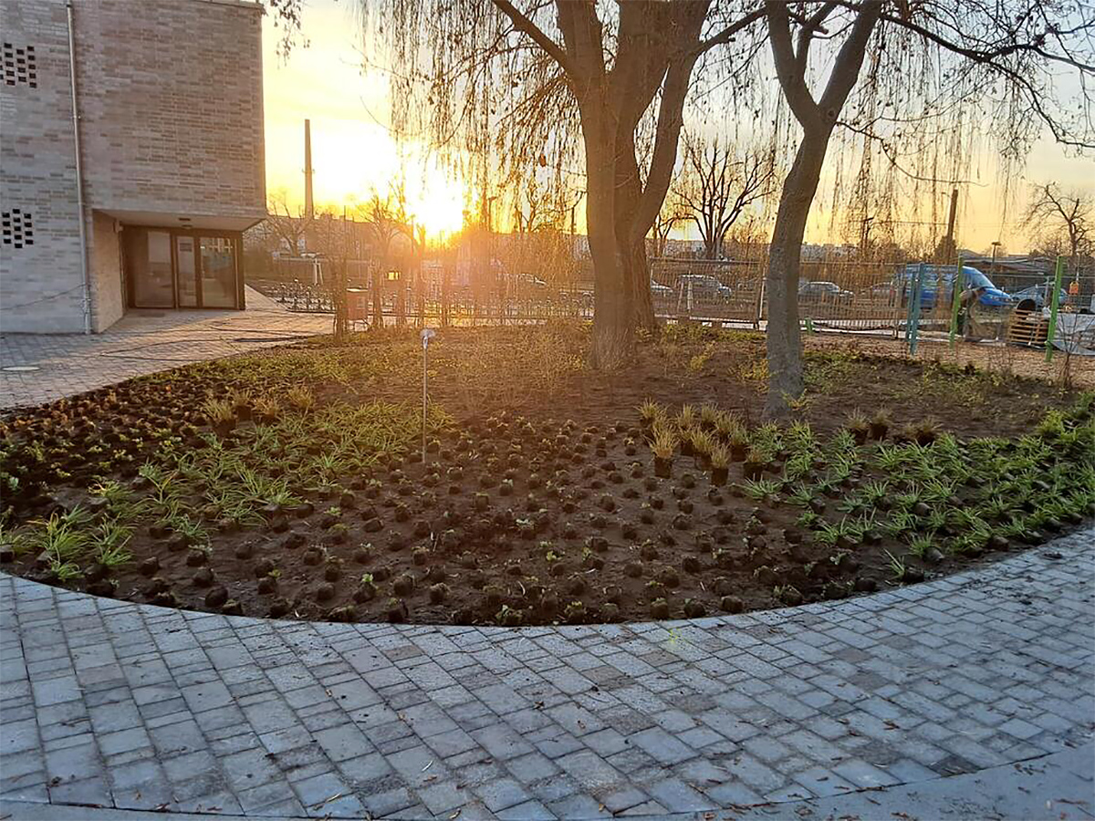Ein grünes Umfeld für die Grundschule am Wasserturm Ein grünes Umfeld für die Grundschule am Wasserturm